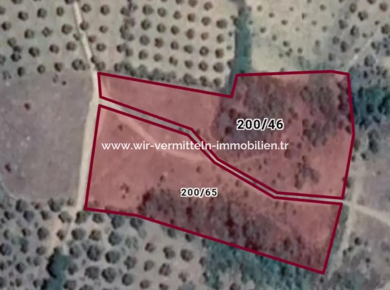 Kaz-Gebirge 9068 M2 Ökotourismus-Gebiet