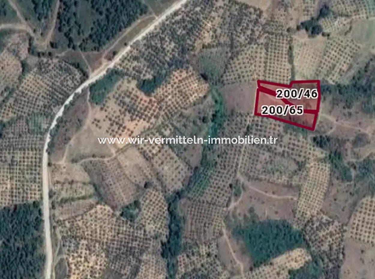 Kaz Dağları 9068 M2 Tarla Ekoturizm Alanı 