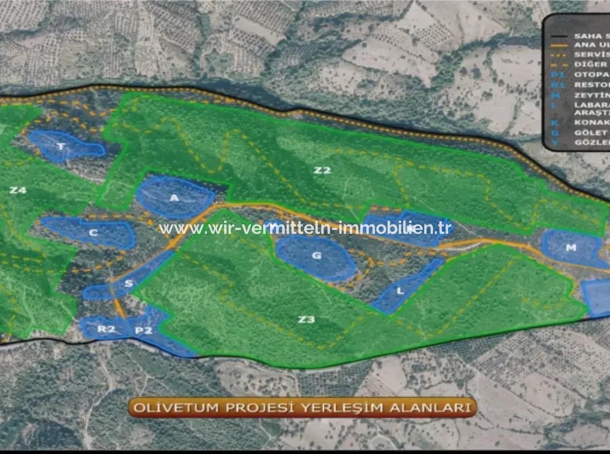Kaz Dağları 9068 M2 Tarla Ekoturizm Alanı 