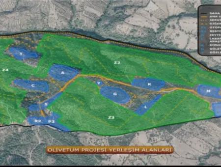 Kaz Dağları 9068 M2 Tarla Ekoturizm Alanı 